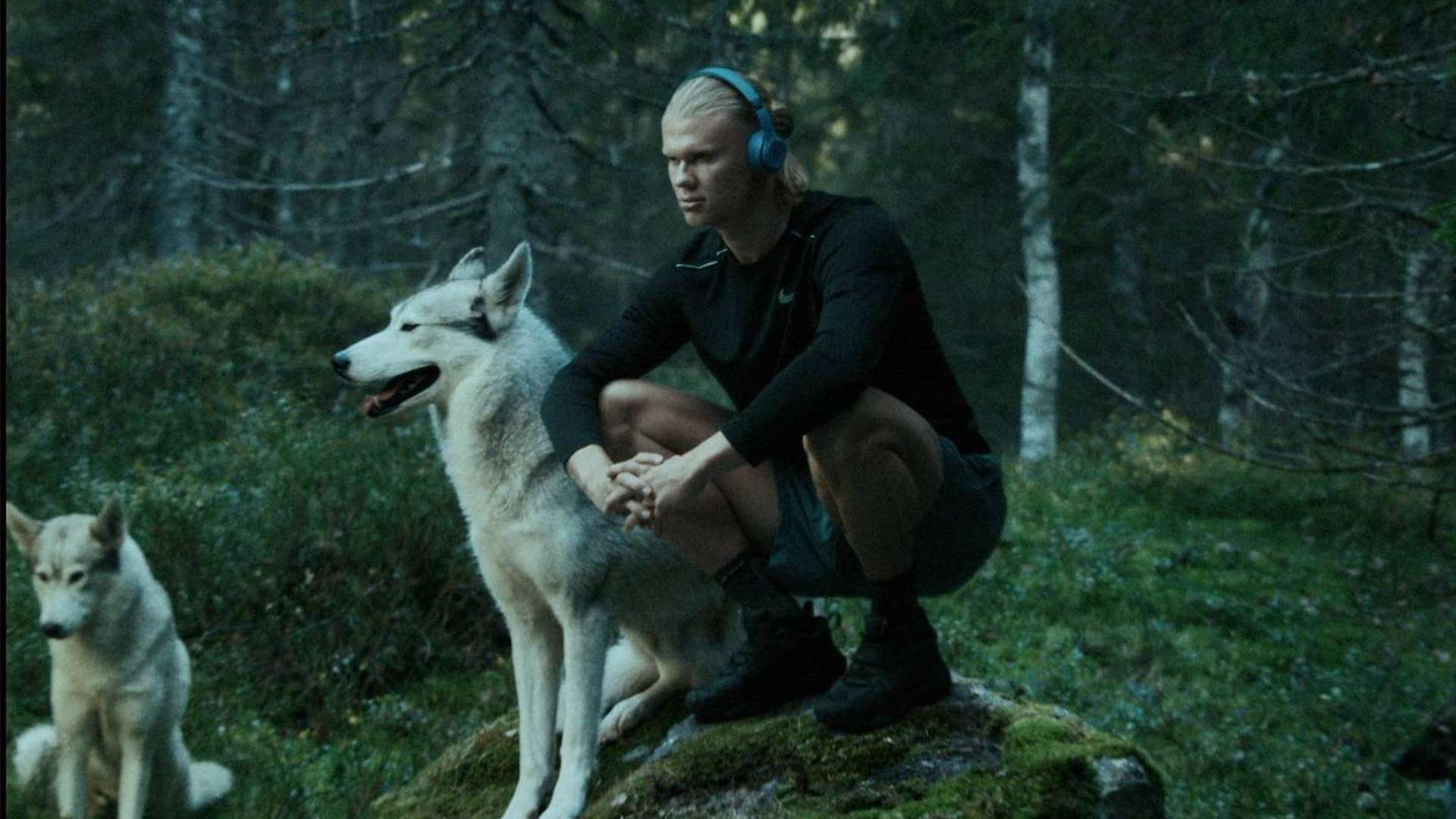 凯恩的相辅 凯恩的相辅