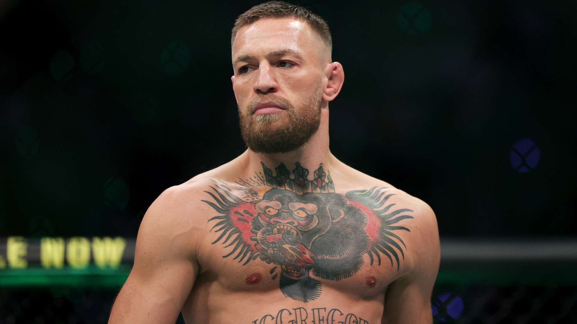 球员个人能 球员个人能