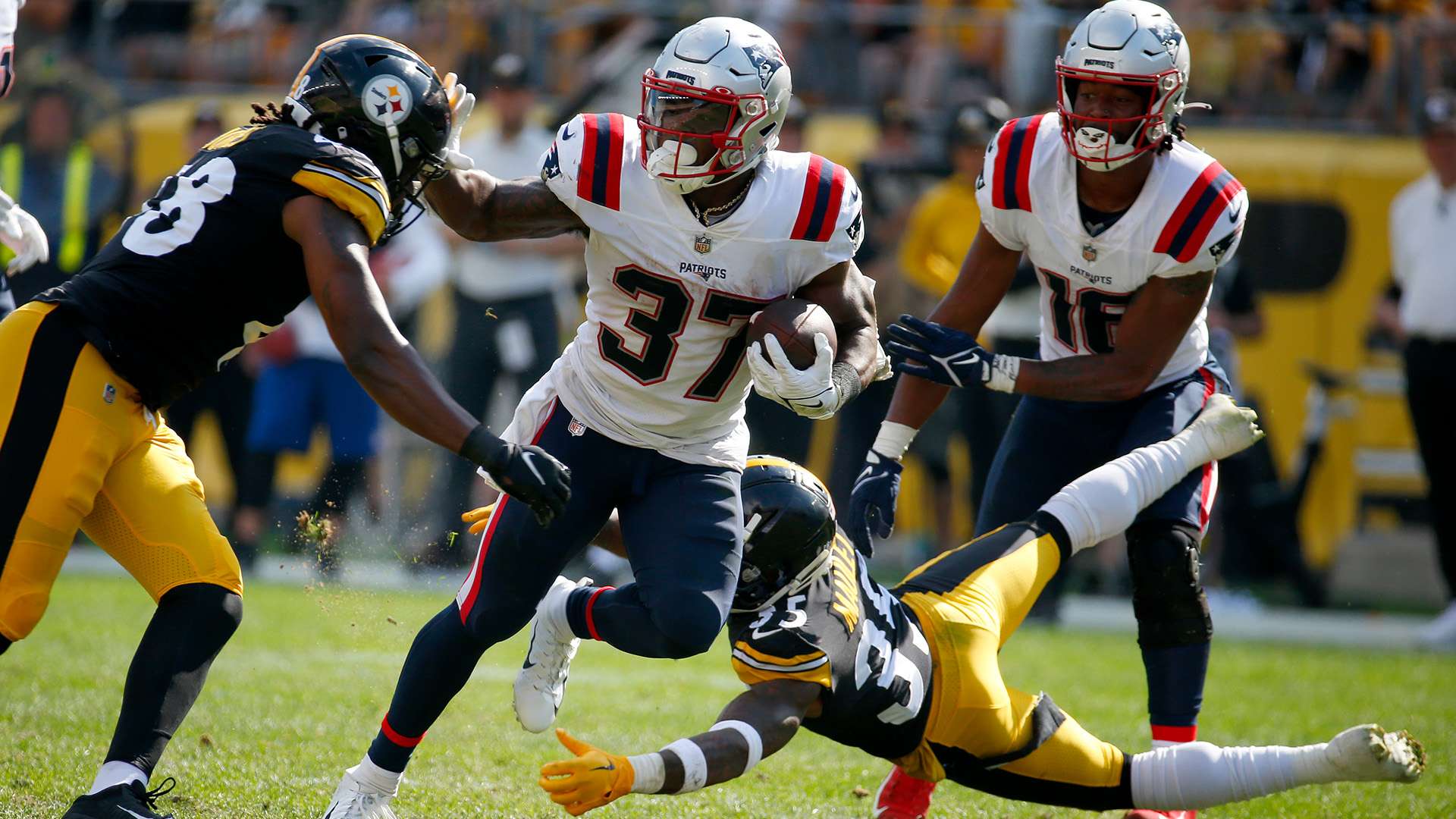 展现出令人 展现出令人