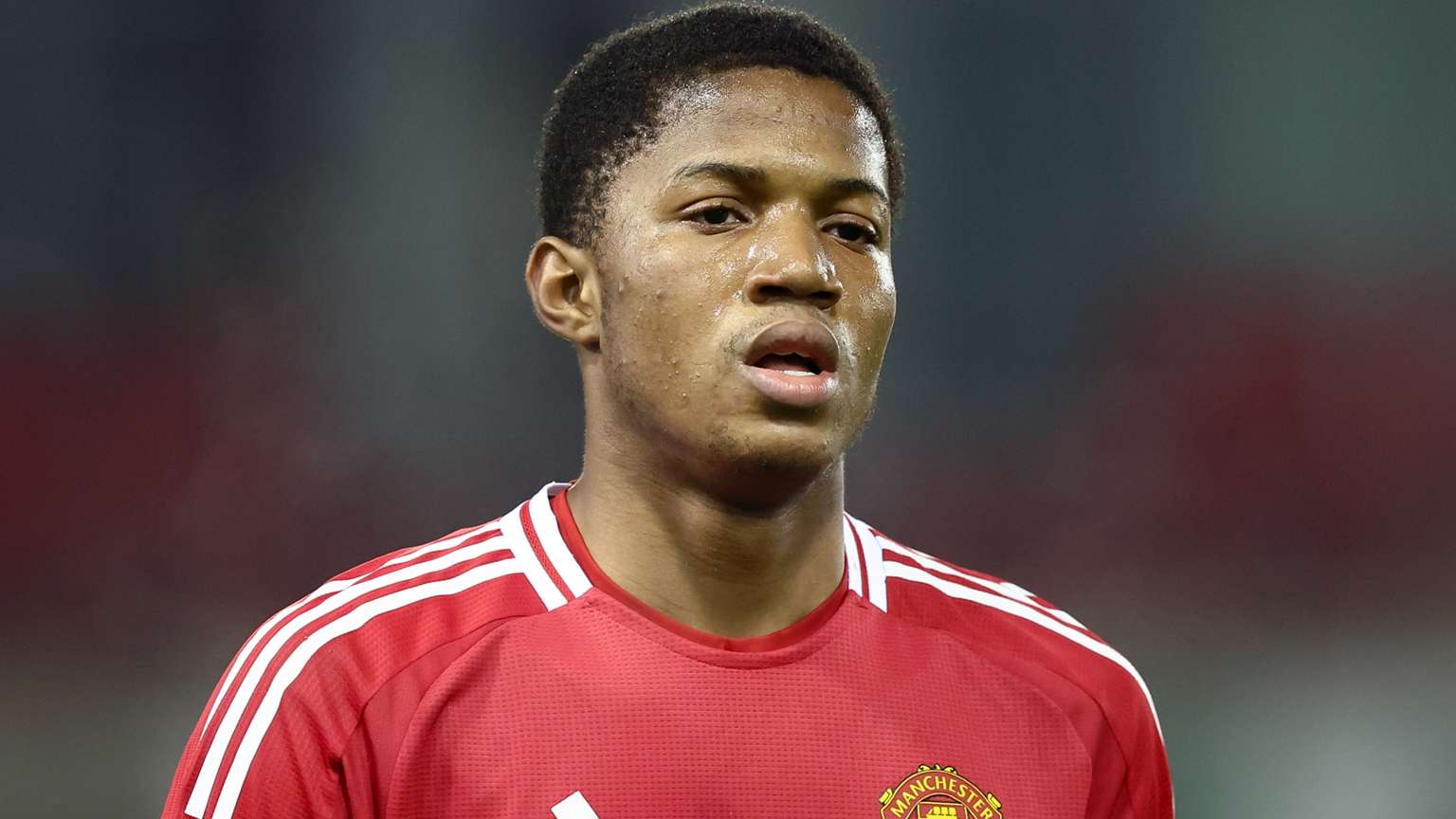 是实力的证 是实力的证